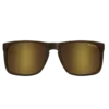 BEX Tortoise And Gold Jaebyrd II Sunglasses