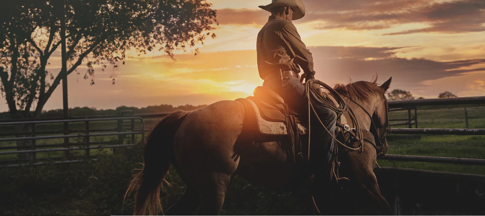 Cheap Dusty Wear Store -Cheap Dusty Wear Store qffgoqfghu